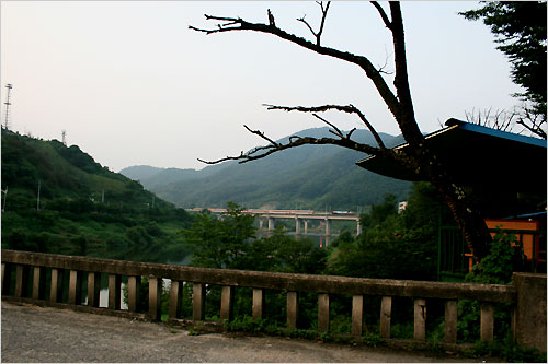 빠아앙~ 열차가 기적을 울리며 지나간다. 압록유원지 강을 가로질러간다. 